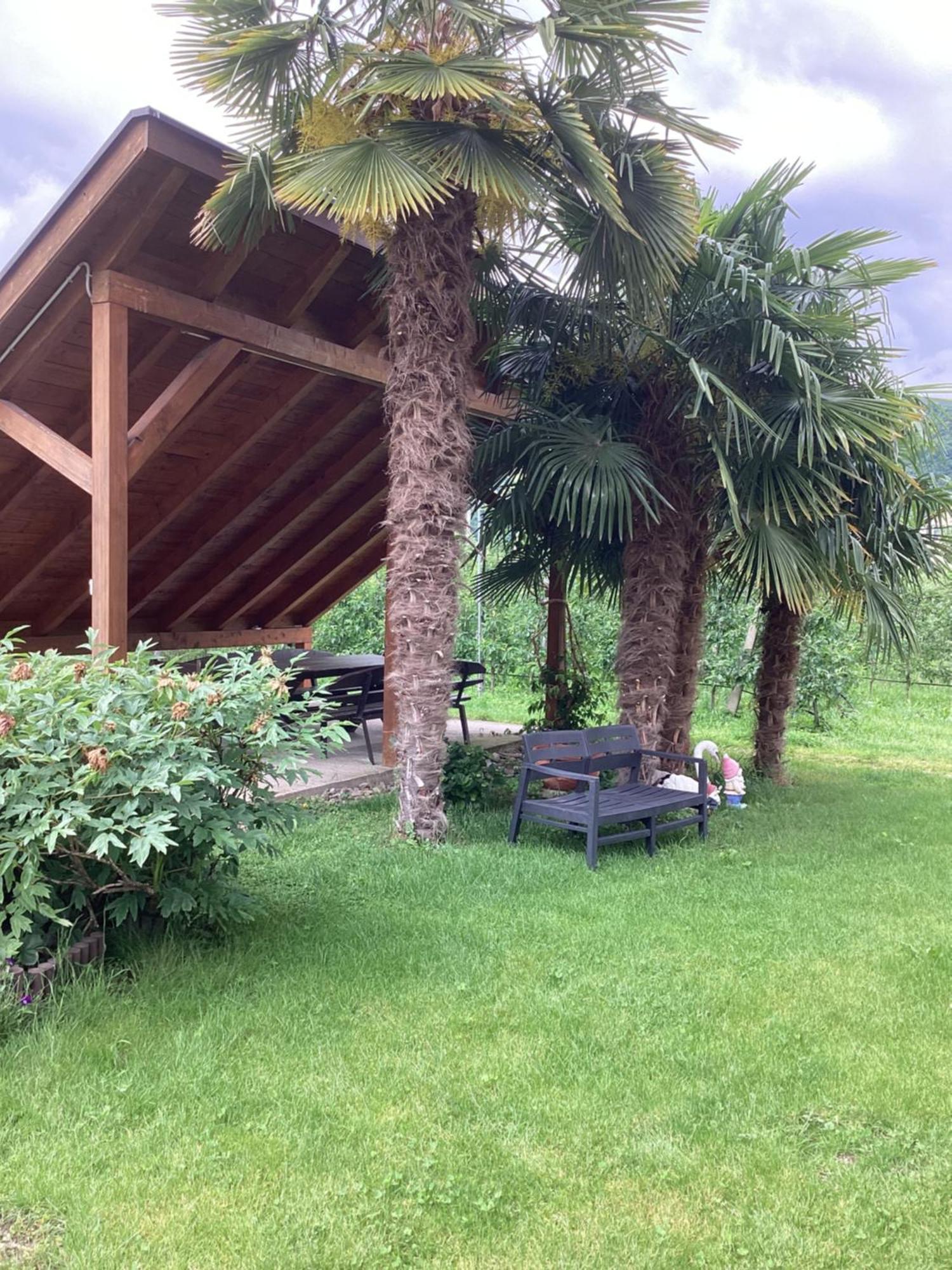 Bbmarlene Bed & Breakfast Bolzano Exterior photo